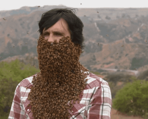 gif of man with bee beard blown off by leaf blower