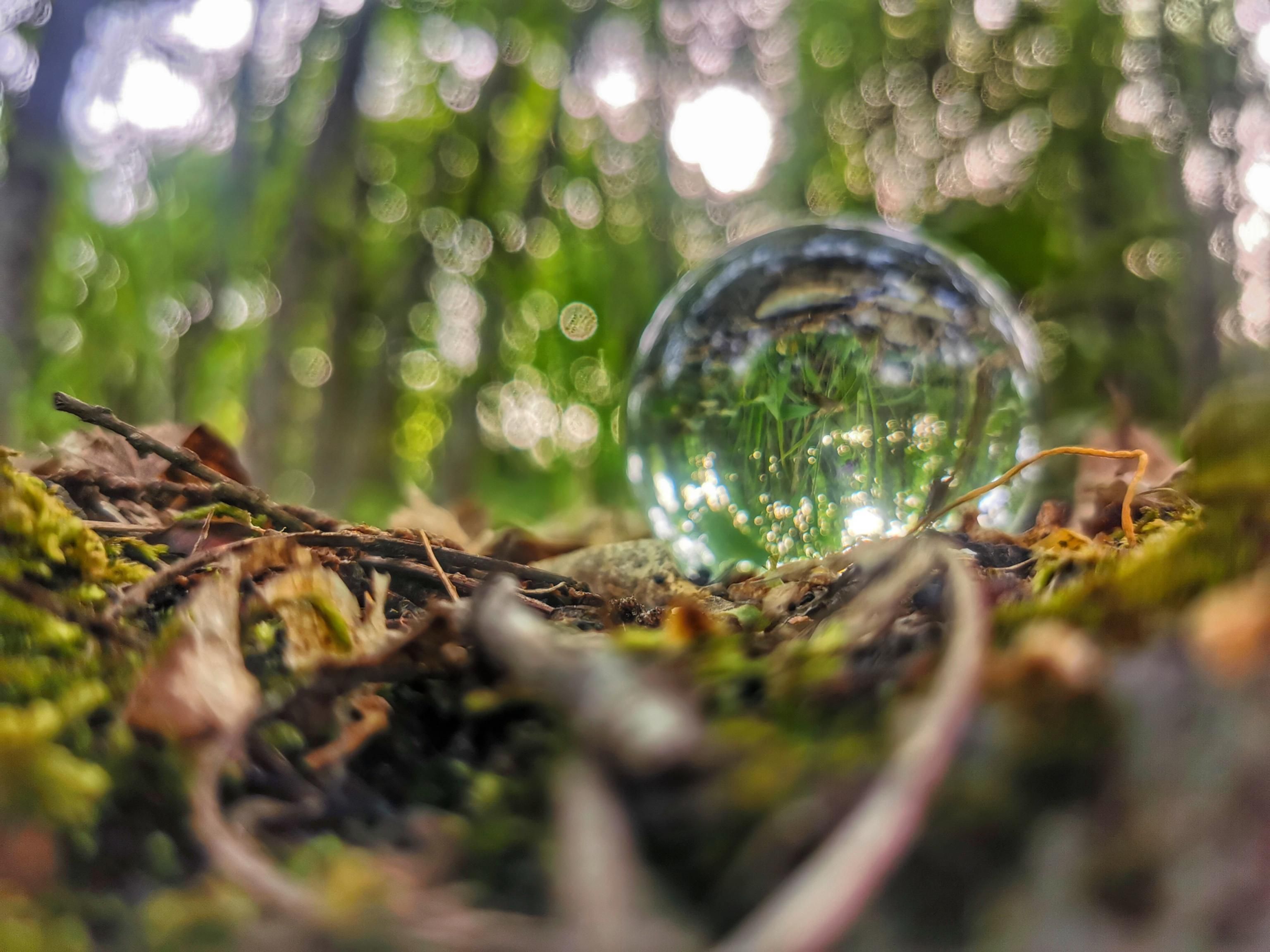 L’entropia dell’universo è invincibile perciò non demonizziamo il disordine