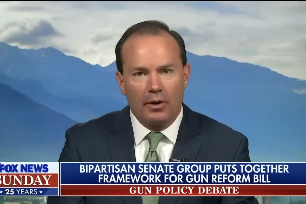 Mike Lee Wishes Somebody Would Think Of The Poor Lonely Guns :(