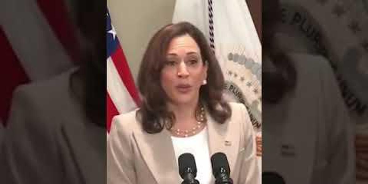 Watch: Kamala's AMAZING wisdom about the internet - Vimarsana News