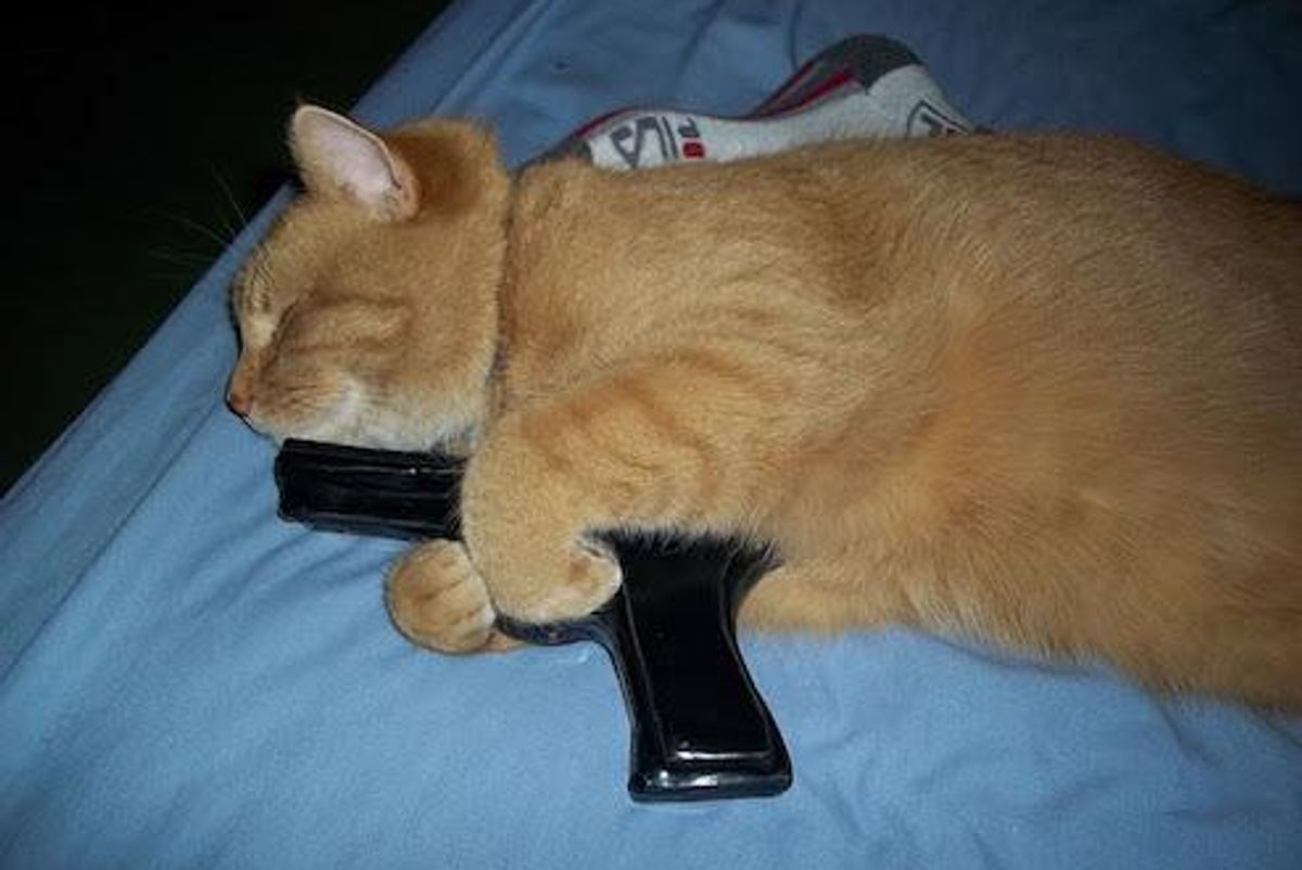 Oh Look, Democrats Are Doing A Gun Bill!