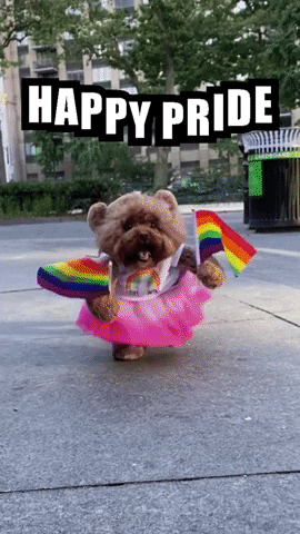 It's Pride Month, Everybody! F*ck The Haters.