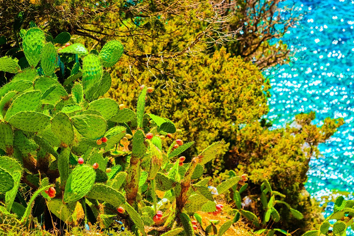 Karol, mare negli occhi e una lingua segreta