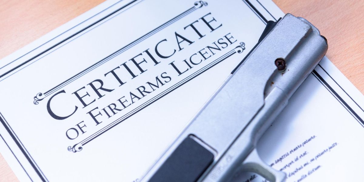 California leaks gun owners' names, home addresses in massive privacy