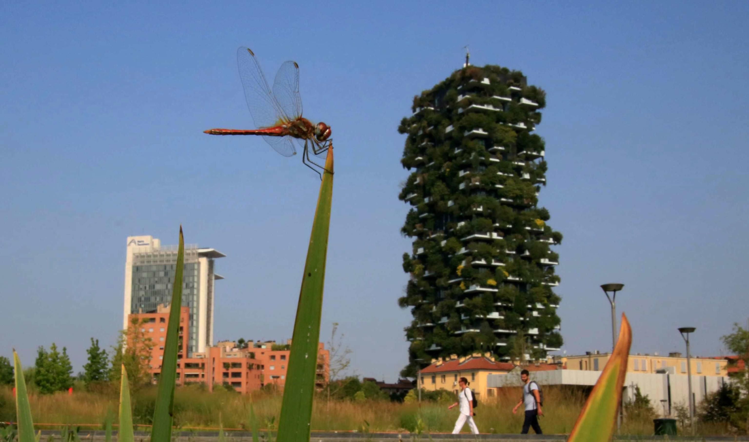 Piantare a caso in nome del green. Il modello Milano contagia il Paese