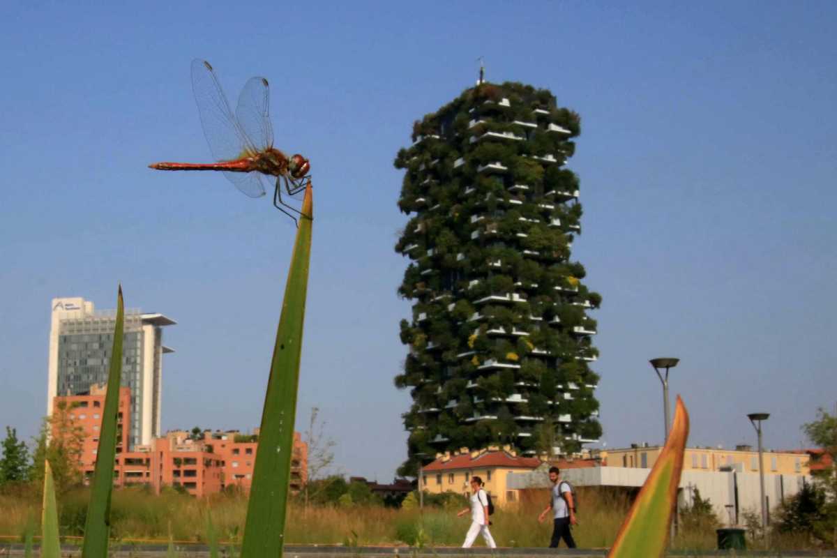Piantare a caso in nome del green. Il modello Milano contagia il Paese