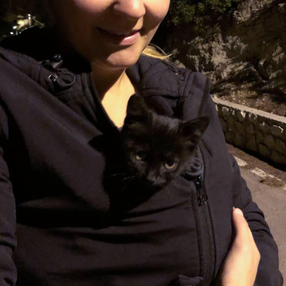 stray kitten chose human