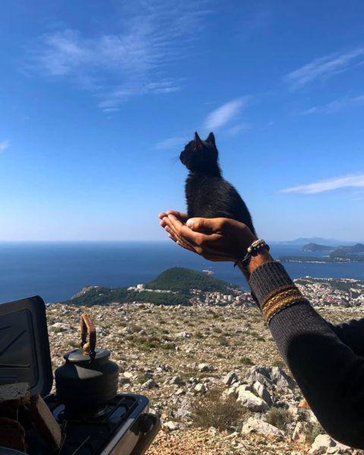 Kitten Comes Running to Traveling Couple and Hops into Their Arms, She  Won't Let Them Leave Her - Love Meow