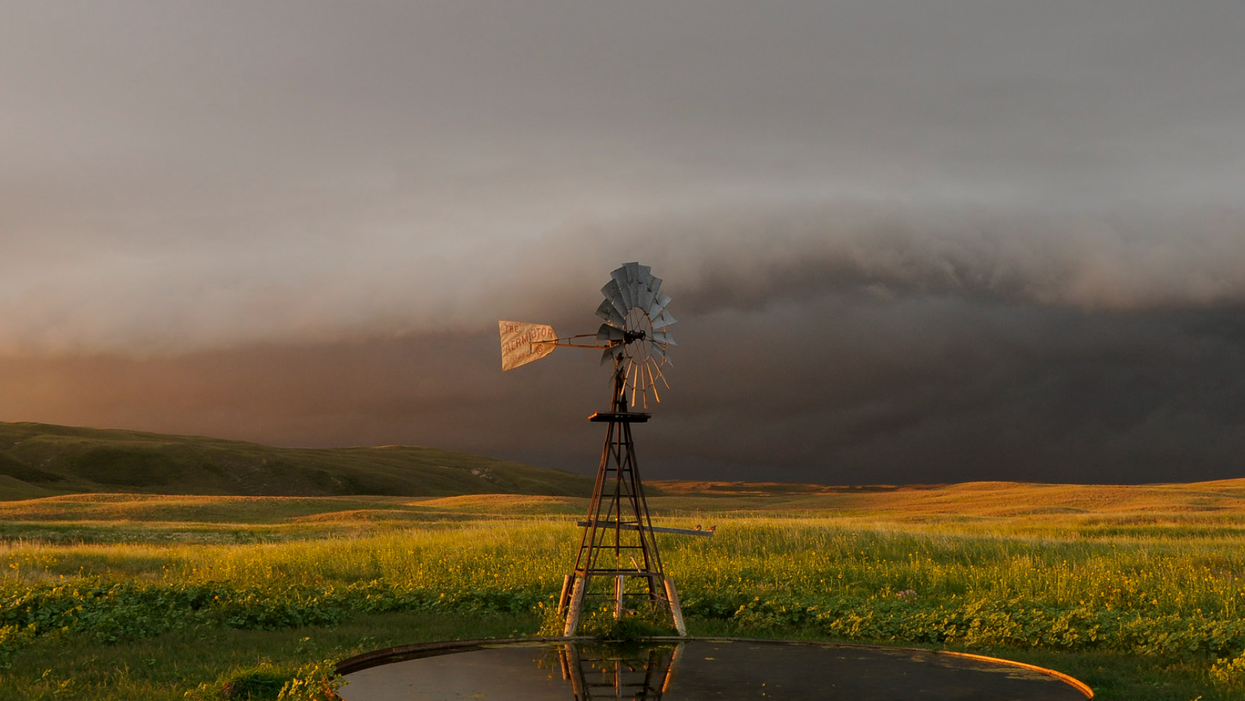 When Will Americans Push Back Against Tyranny Of The Minority?