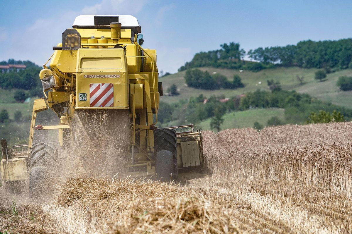 Il grano va su e i coltivatori giù: in piazza