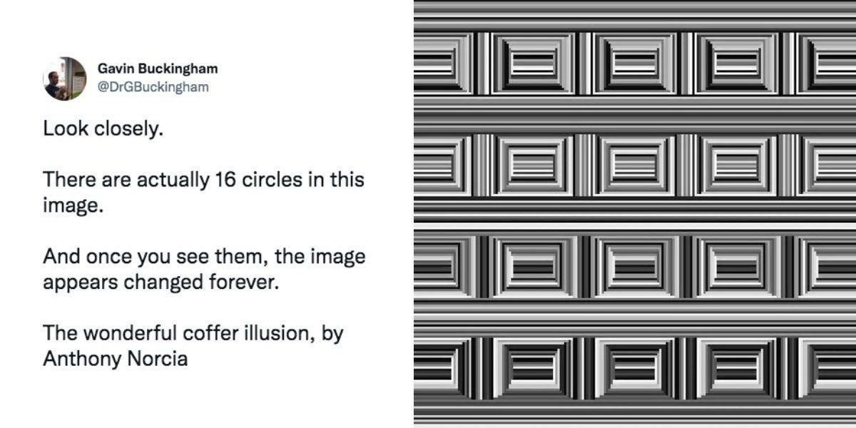 The coffer illusion has people struggling to see circles - Upworthy