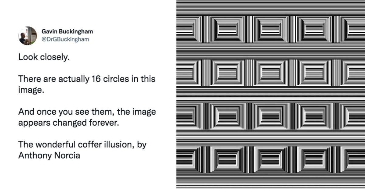 screenshot of a comment; an optical illusion made of gray lines