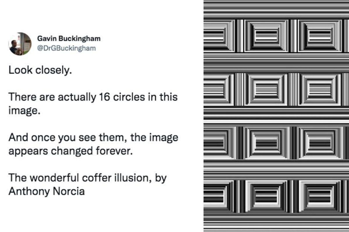 screenshot of a comment; an optical illusion made of gray lines