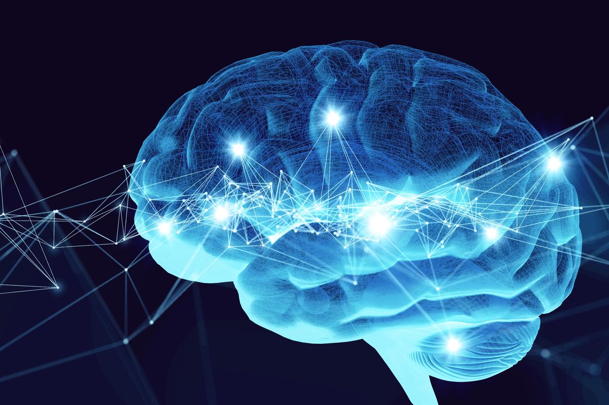 Anche la neuroscienza è divenuta un dogma