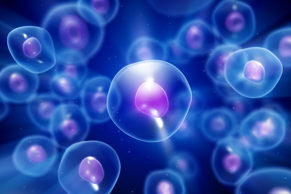 Il mosaico di cellule che ci rende vivi spiega perché non temere l’ordine