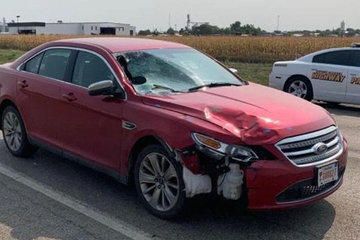 South Dakota Removes Hit-And-Run Killer AG And It Only Took Two Years!