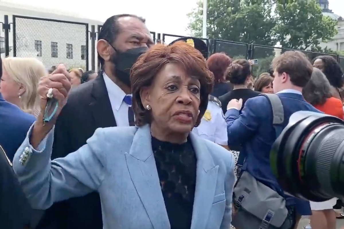 Delicate Republican Flowers Cry That Maxine Waters And AOC Are Insurrectioning Them