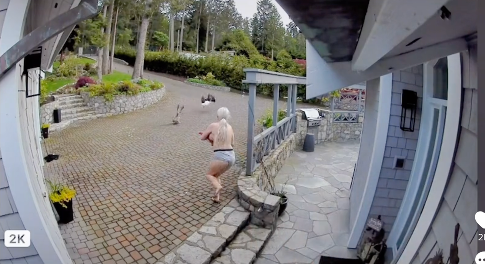 Mom who saved pet goose from eagle while breastfeeding is a mascot for moms everywhere