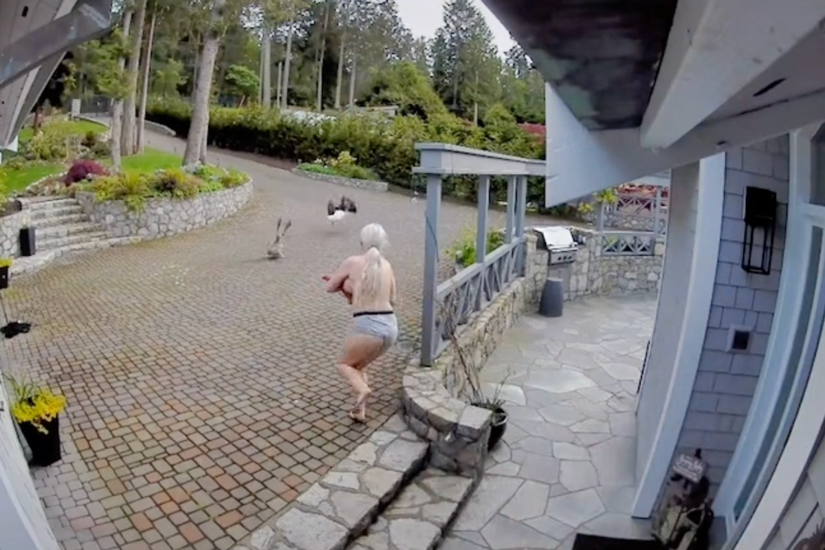 breastfeeding mom saves goose, pet goose, tiktok