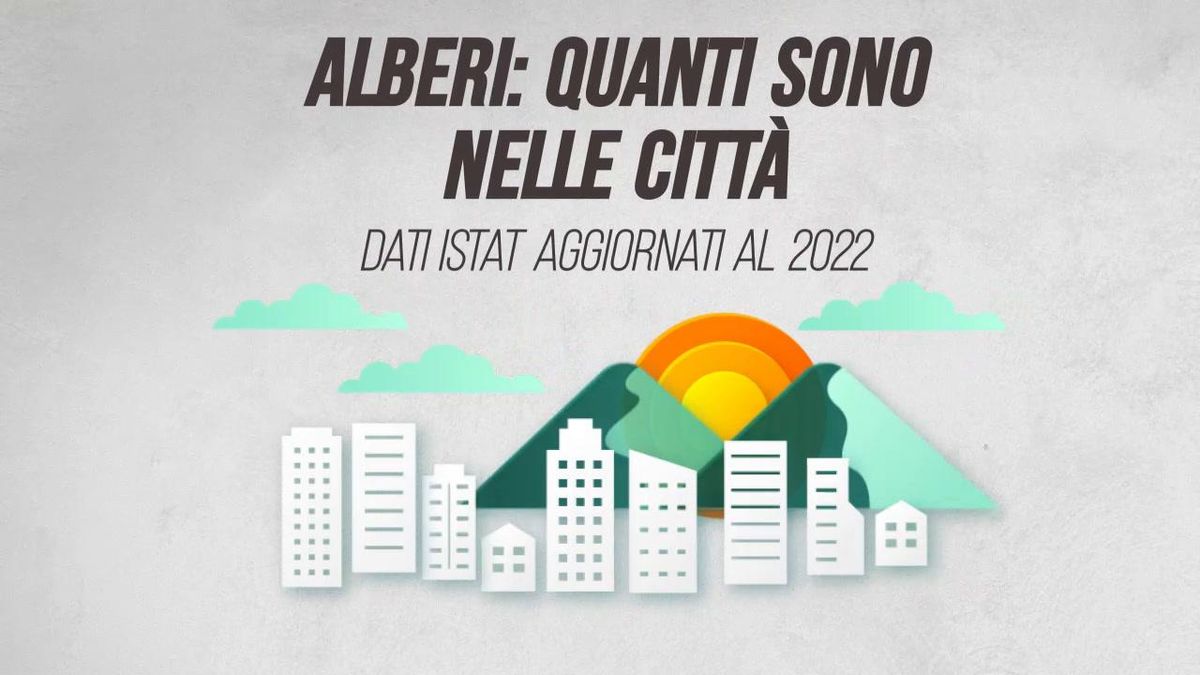 Alberi: quanti sono nelle città