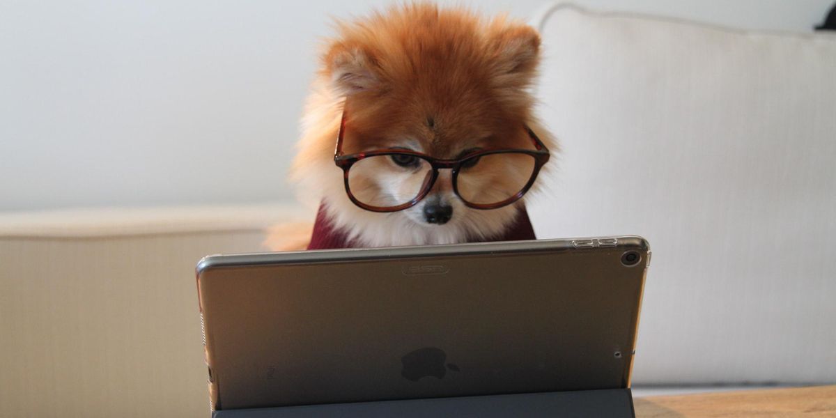 People Break Down Their Most Useless Skills