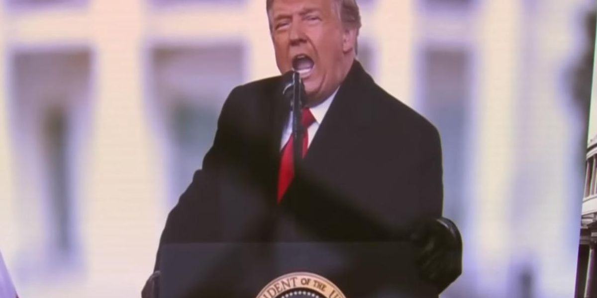 Trump: I'll Have The Loser Combo Plate And A Diet Coke, Please - Vimarsana News