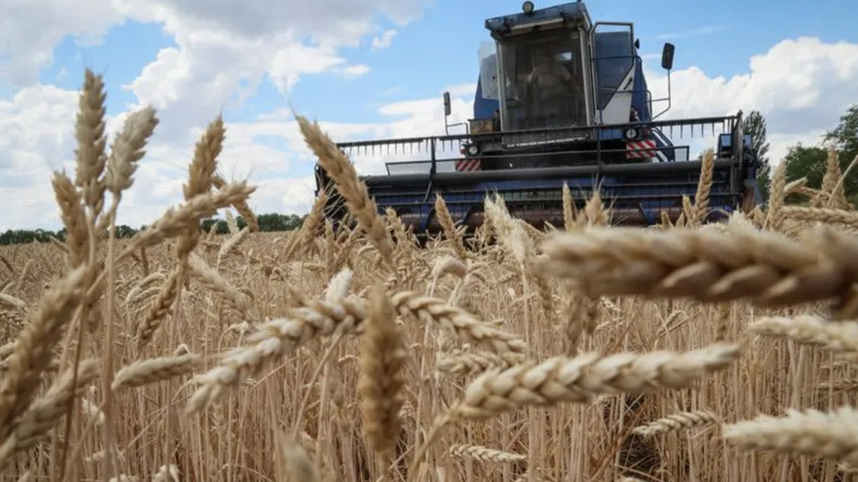 UN: Breakthrough In Ukraine Grain Export Talks May Stave Off Famine
