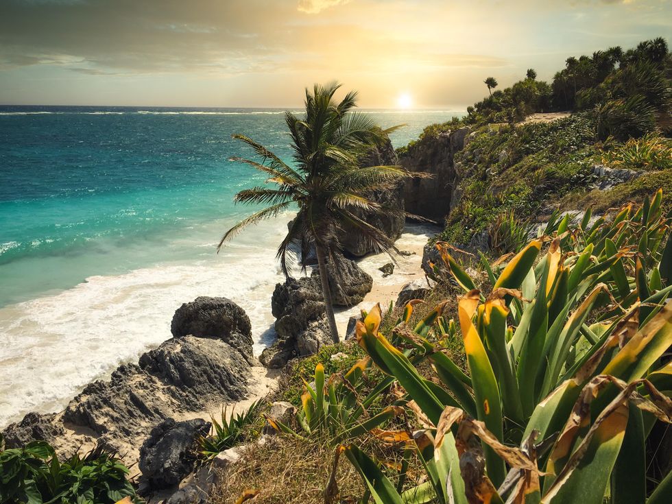 a tropical setting of the Tulum, Mexico coastline with turquiose waters, rocks, and tropical greenery including a palm tree