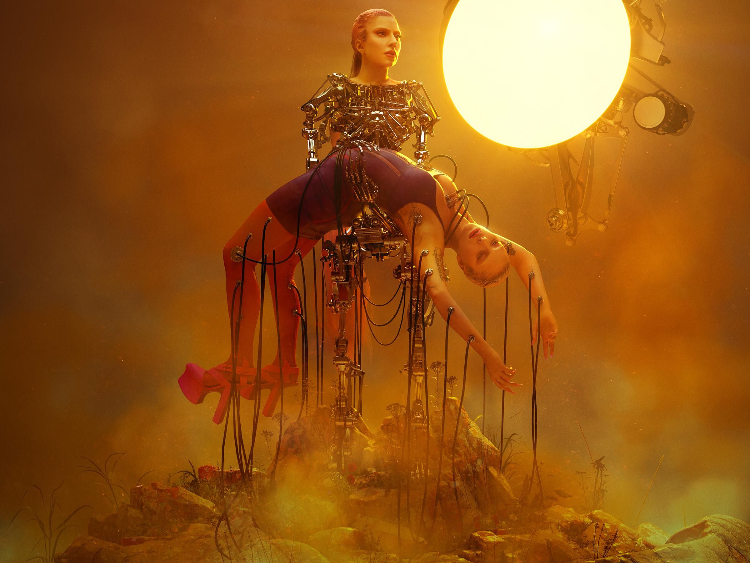 Everything We Know About Lady Gaga