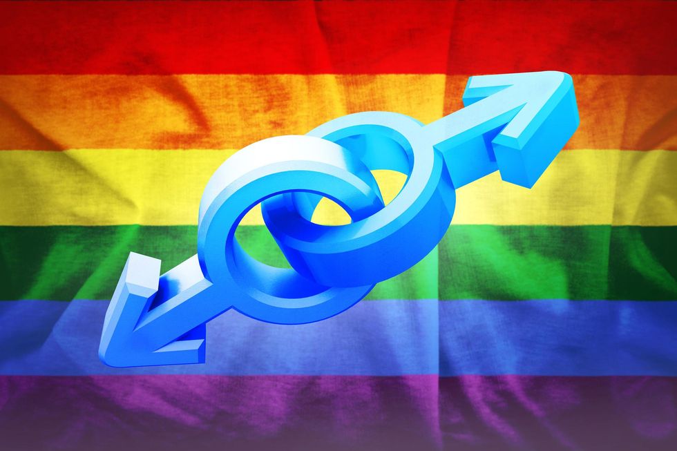 Horowitz Elevating homosexuality to a national religion