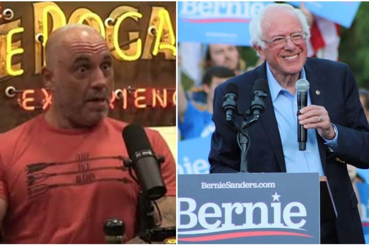 joe rogan, bernie sanders, joe rogan politics