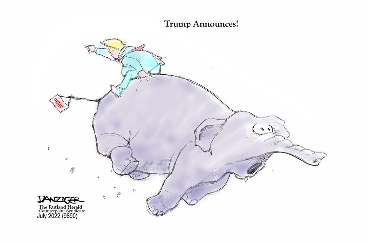 Danziger Draws