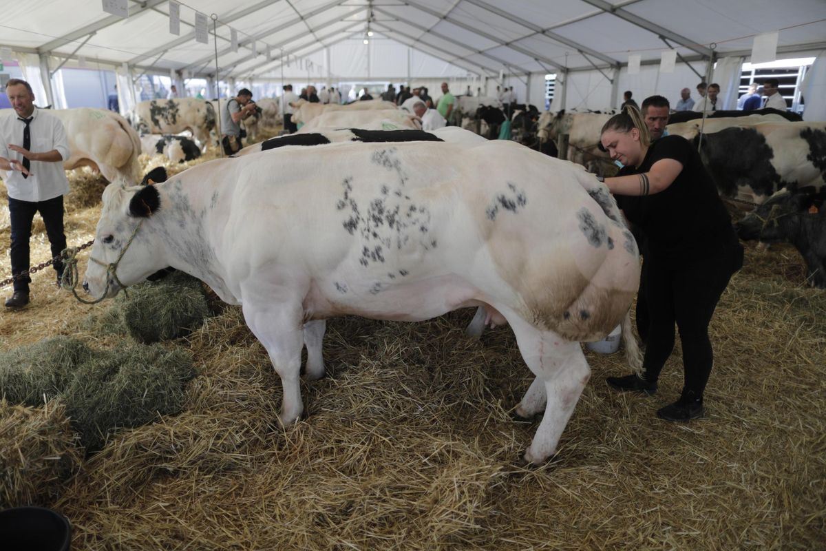 Consorzi agrari d’Italia si espande. L’innovazione passa dalle filiere