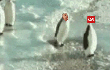 Trump Threatens To Sue CNN For Calling Him A Lying Liar Who Lies A Lot