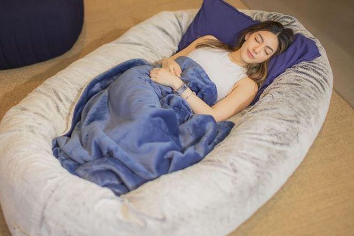 plufl bed, human dog bed, gcustom dog bed