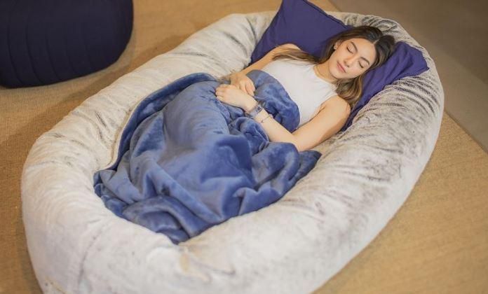 plufl bed, human dog bed, gcustom dog bed