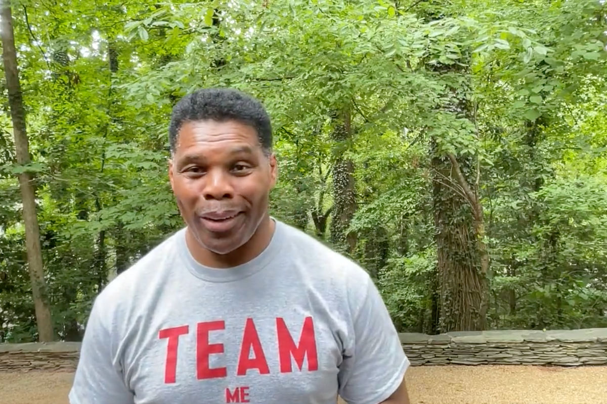 Herschel Walker’s Pretty Sure He Can Whoop Elie Mystal In Georgia Senate Race