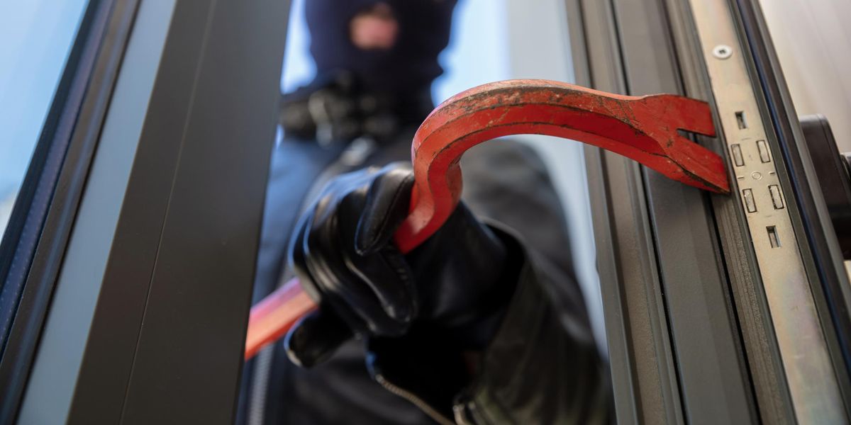 Bandit, the ‘guard cat,’ wards off armed bandits attempting to break into Mississippi home Bandit, the ‘guard cat,’ wards off armed bandits attempting to break into Mississippi home