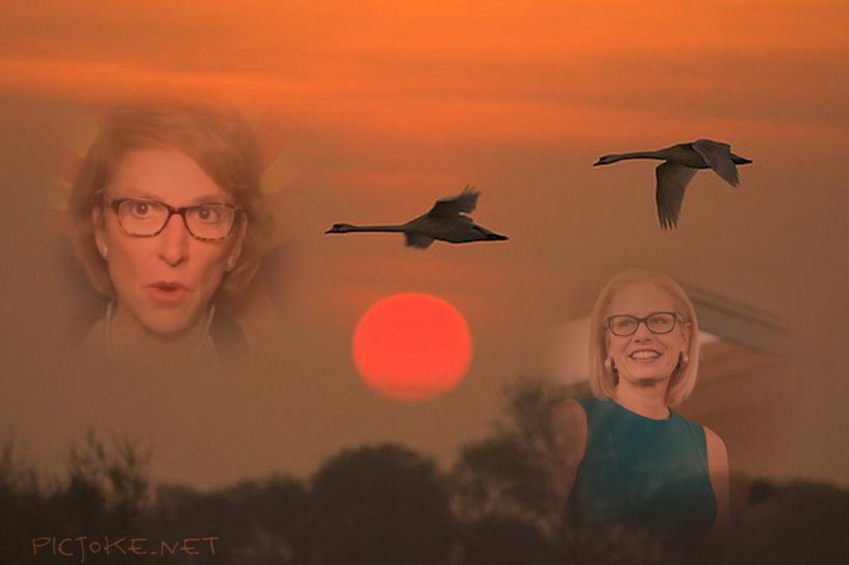 Who Does Arizona's Wendy Rogers Love More? Literal Nazis Or Kyrsten Sinema?