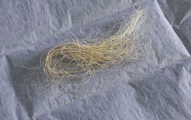 lock of hair, hair art, dyer ghoul house