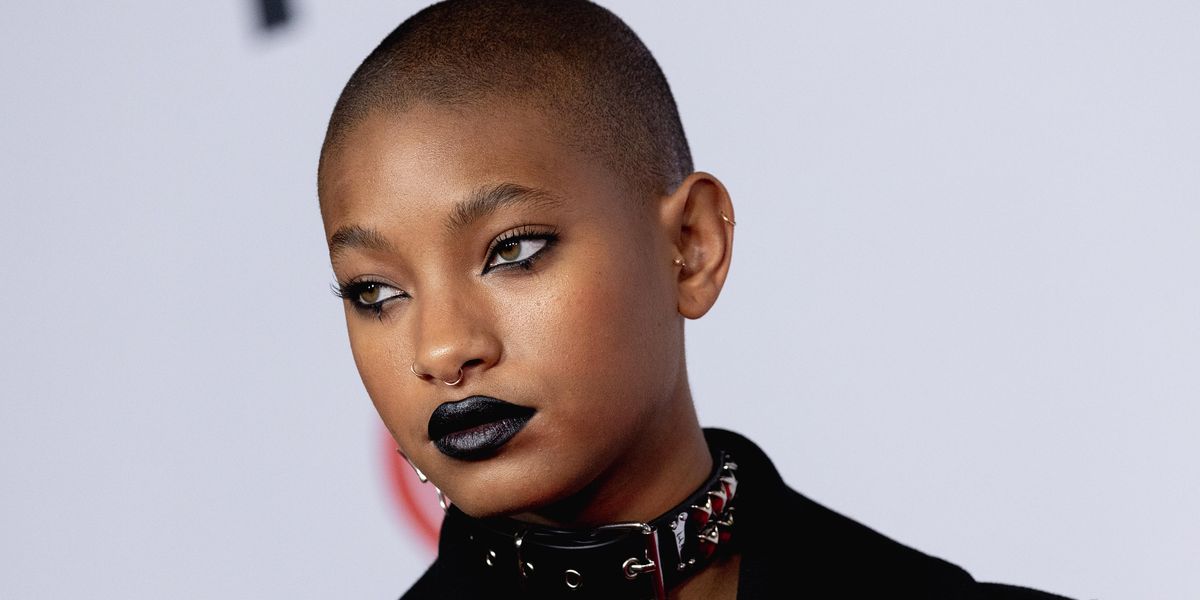 Willow Smith Stops Show to Help Fan Who Fainted