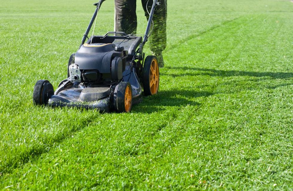 Person pushing lawn mower across lush green grass