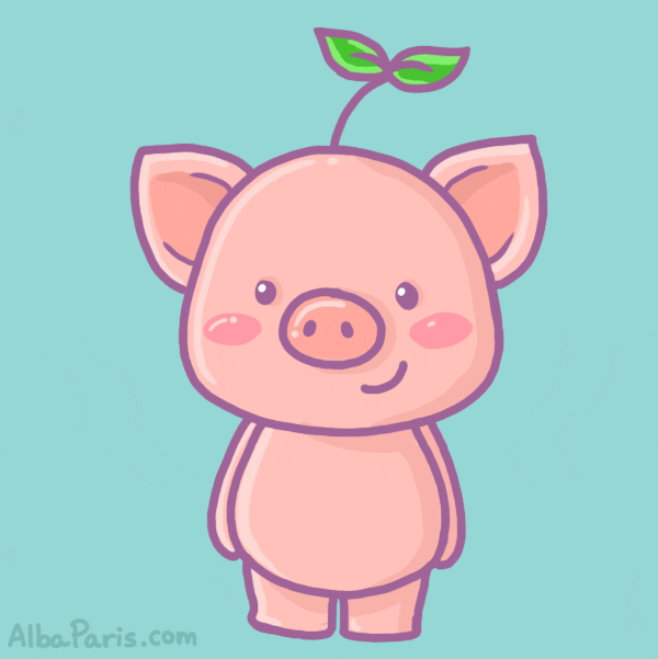 pig skin eye implant