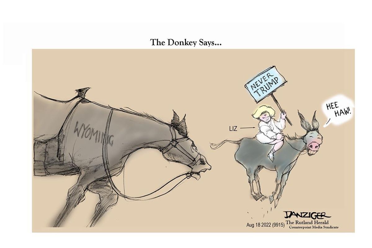 Danziger Draws