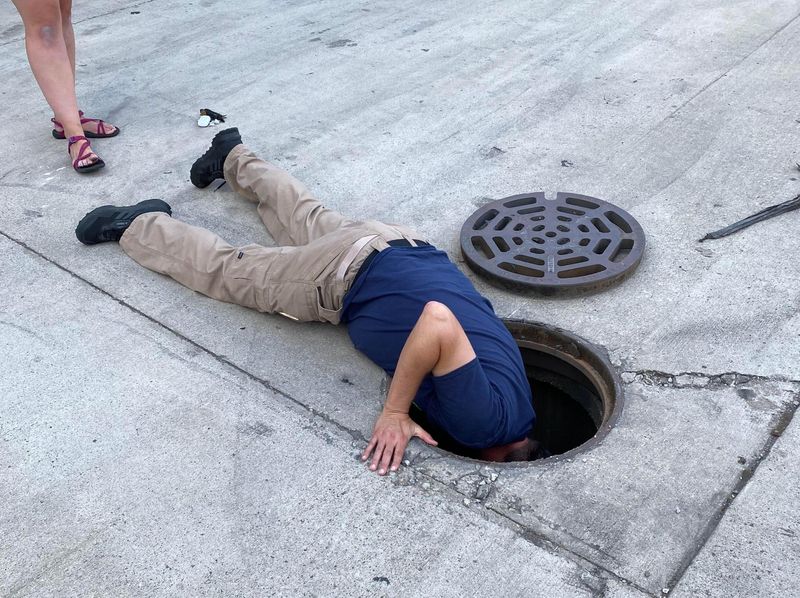 kitten in drain pipe