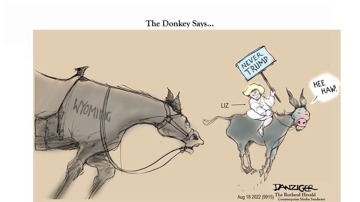 Danziger Draws