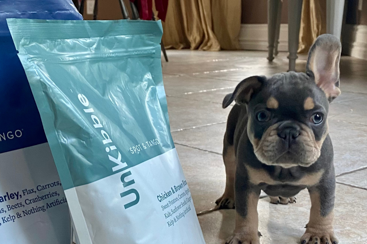 What’s The Best Dog Food Brand?