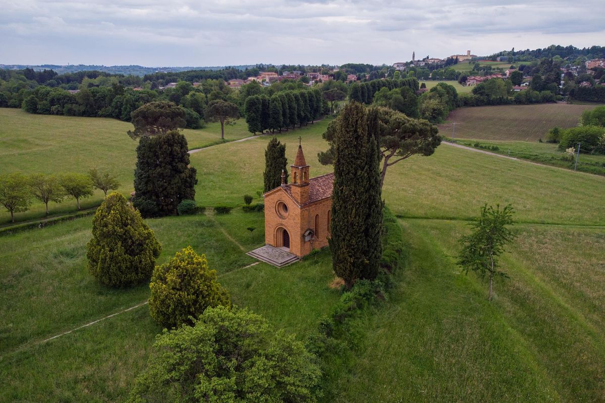 Chi va a caccia di alberi trova dei tesori