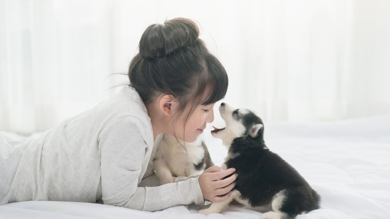 A puppy yawns in a woman's face.