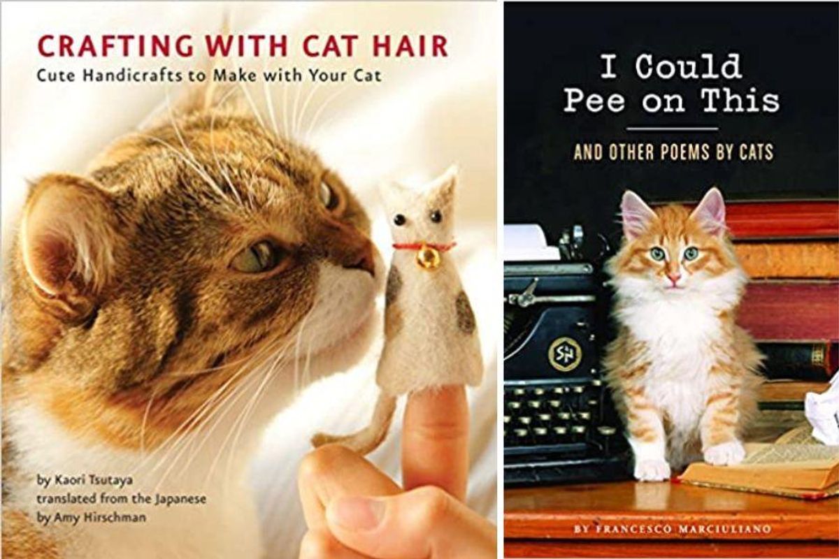cat books gifts funny